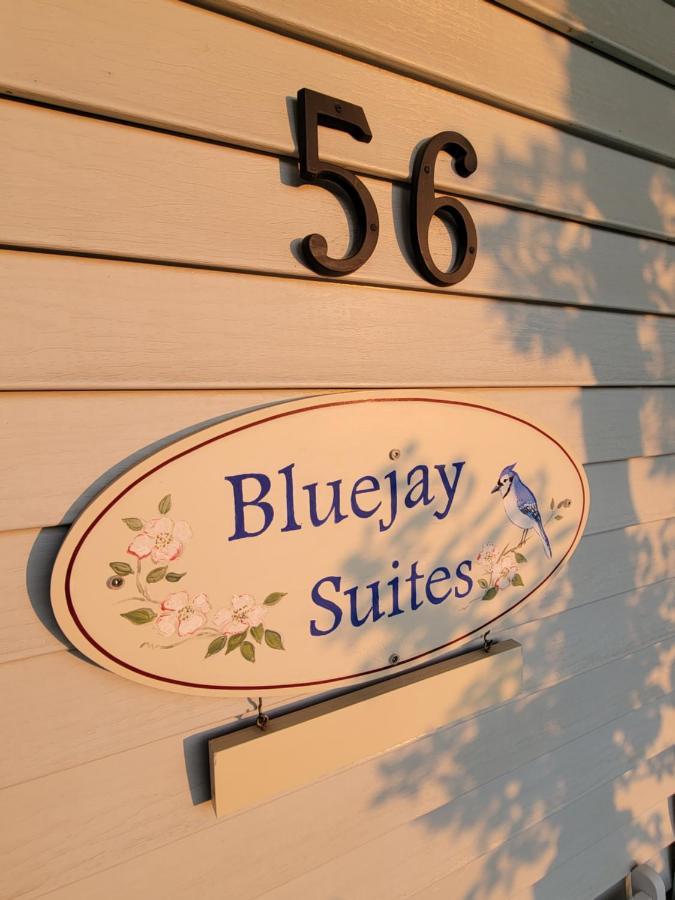 Bluejay Suites B&B Whitehorse Extérieur photo